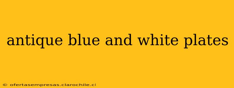 antique blue and white plates