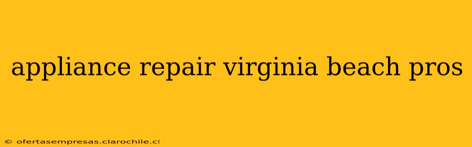 appliance repair virginia beach pros