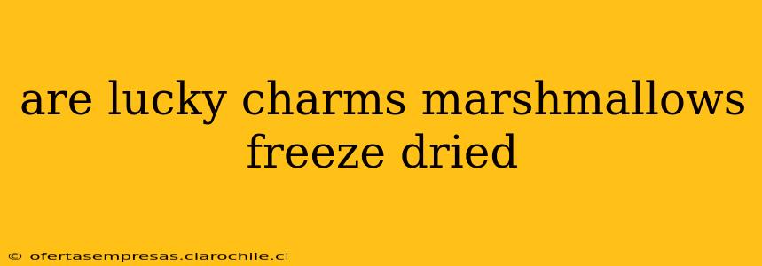 are lucky charms marshmallows freeze dried