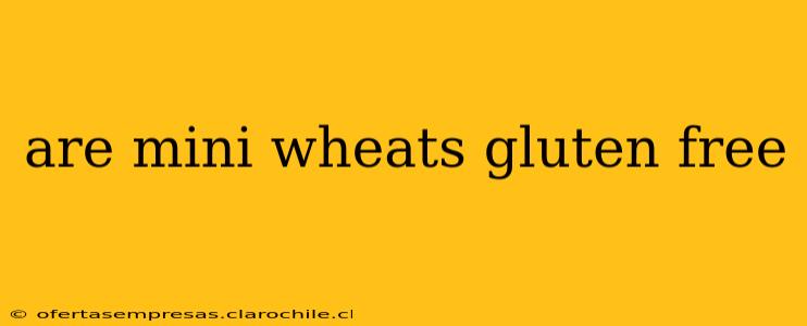 are mini wheats gluten free
