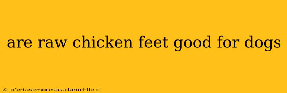 are raw chicken feet good for dogs