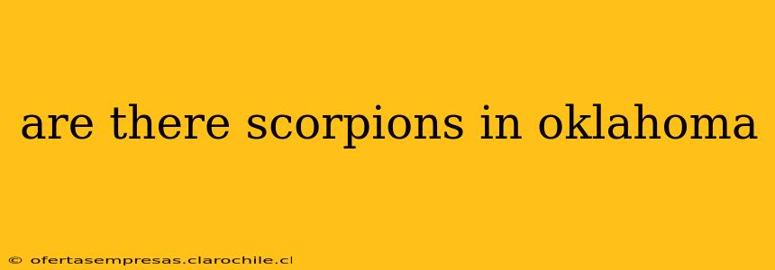 are there scorpions in oklahoma