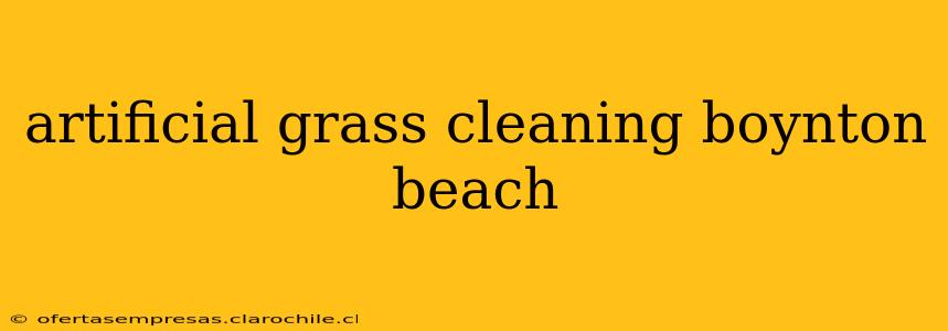 artificial grass cleaning boynton beach