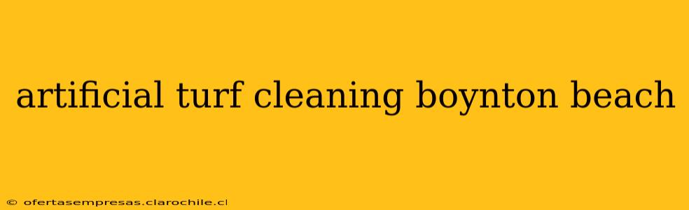 artificial turf cleaning boynton beach