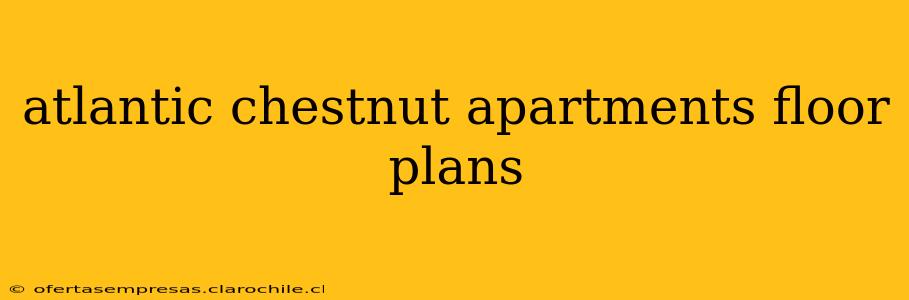 atlantic chestnut apartments floor plans