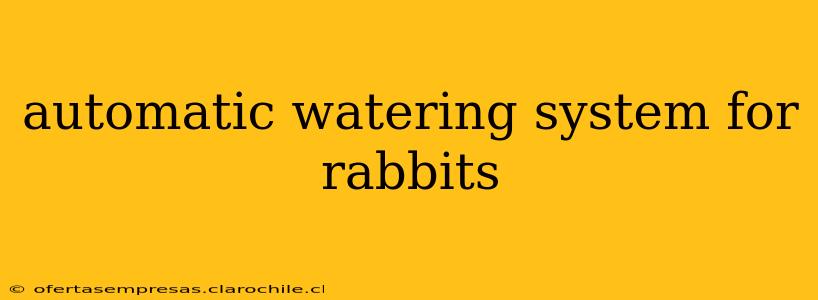 automatic watering system for rabbits