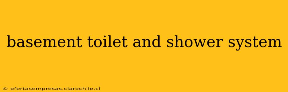 basement toilet and shower system