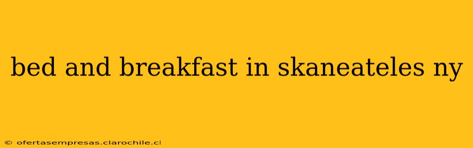 bed and breakfast in skaneateles ny