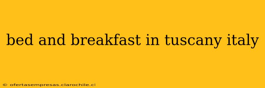 bed and breakfast in tuscany italy