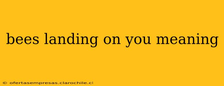 bees landing on you meaning