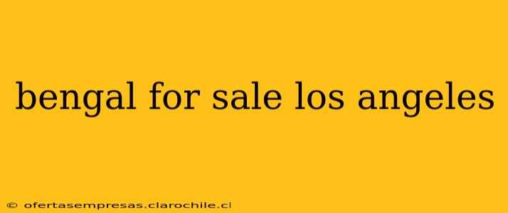 bengal for sale los angeles