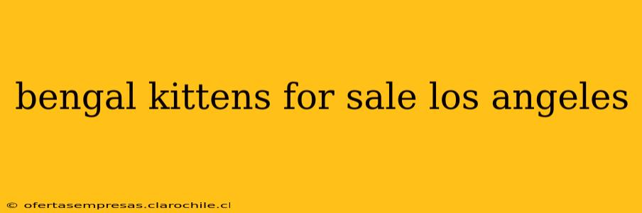 bengal kittens for sale los angeles