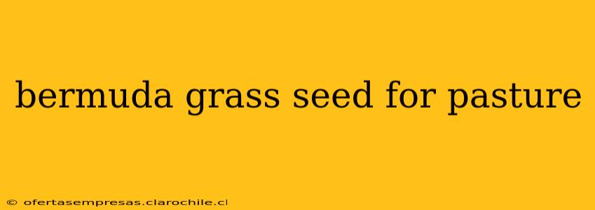 bermuda grass seed for pasture