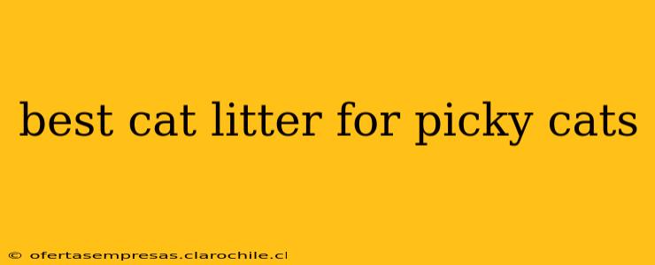 best cat litter for picky cats