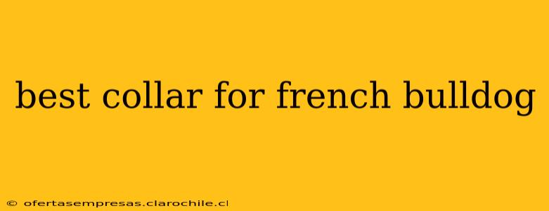 best collar for french bulldog