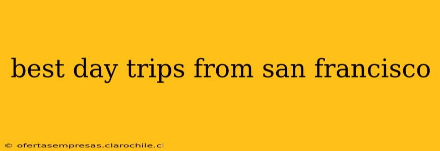 best day trips from san francisco