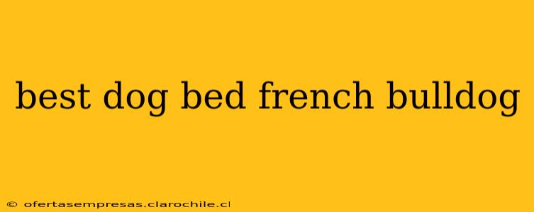 best dog bed french bulldog