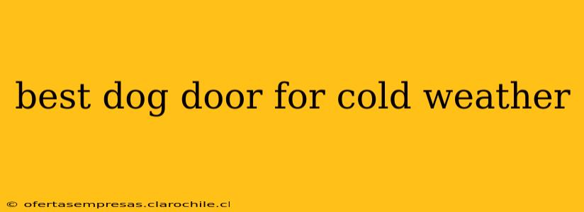 best dog door for cold weather