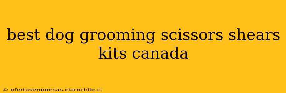 best dog grooming scissors shears kits canada