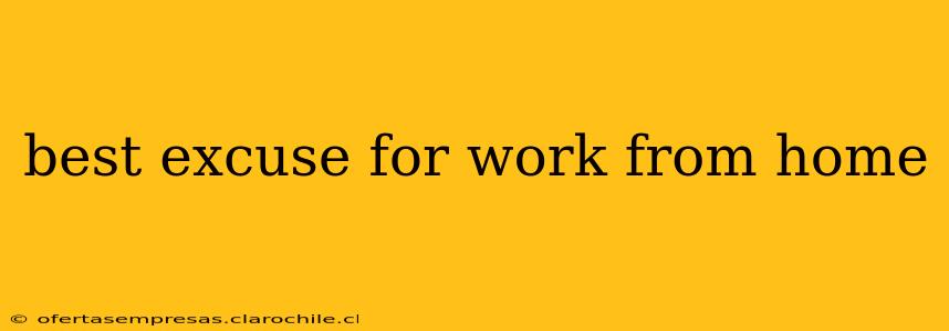 best excuse for work from home
