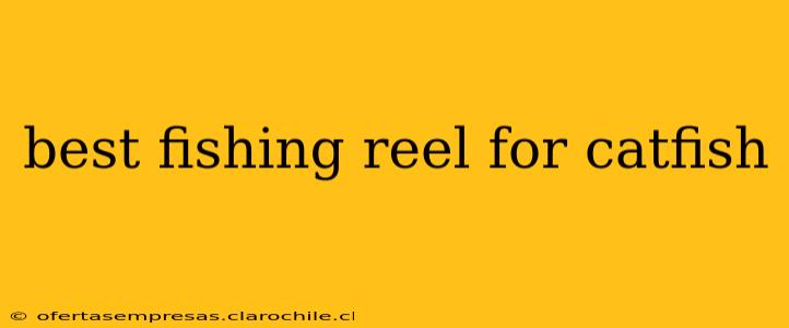 best fishing reel for catfish