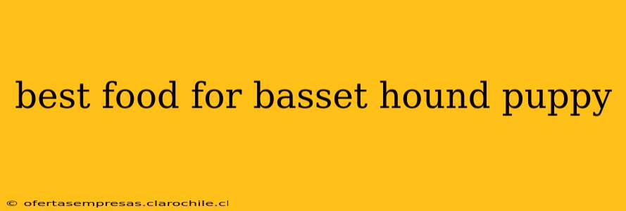 best food for basset hound puppy