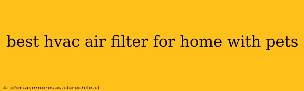 best hvac air filter for home with pets