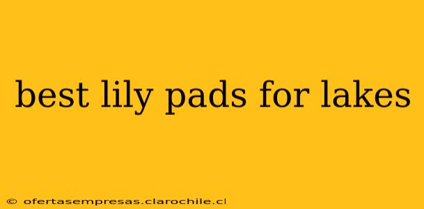 best lily pads for lakes