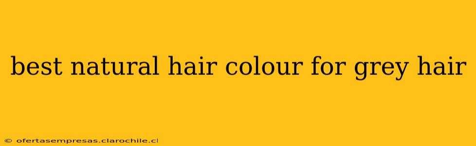 best natural hair colour for grey hair