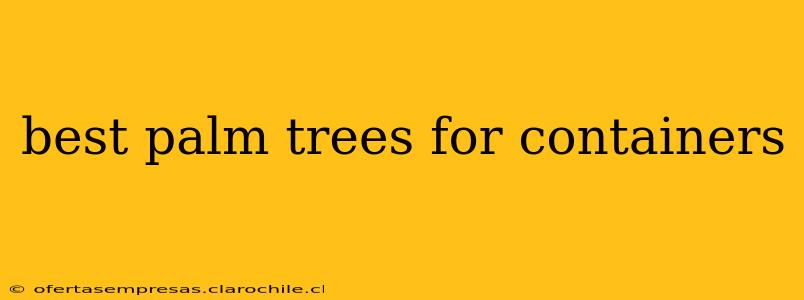 best palm trees for containers