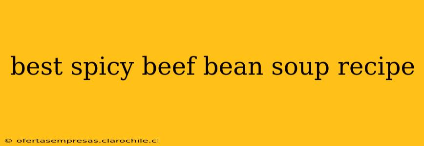 best spicy beef bean soup recipe