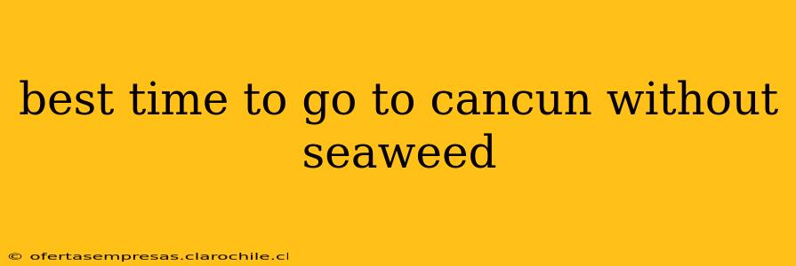 best time to go to cancun without seaweed