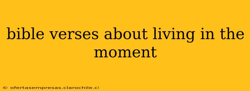bible verses about living in the moment