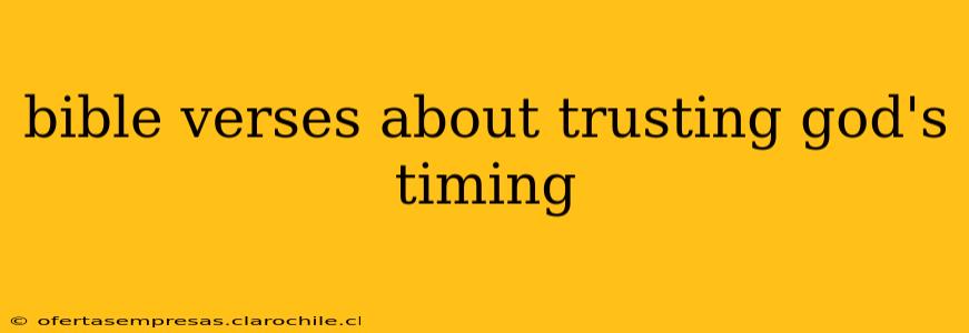 bible verses about trusting god's timing