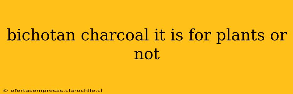 bichotan charcoal it is for plants or not