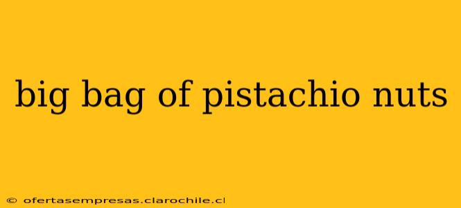 big bag of pistachio nuts