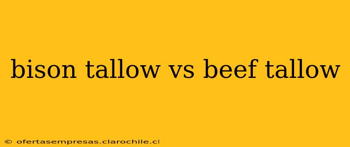 bison tallow vs beef tallow
