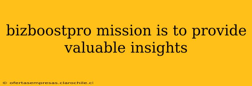 bizboostpro mission is to provide valuable insights