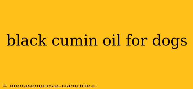 black cumin oil for dogs