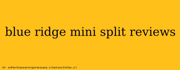 blue ridge mini split reviews