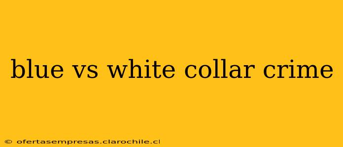 blue vs white collar crime