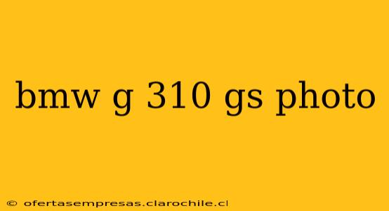 bmw g 310 gs photo