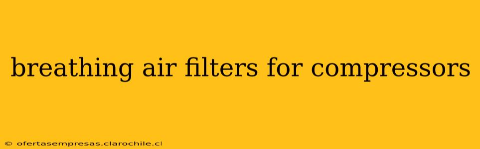 breathing air filters for compressors