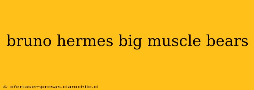 bruno hermes big muscle bears bruno hermes big muscle bears