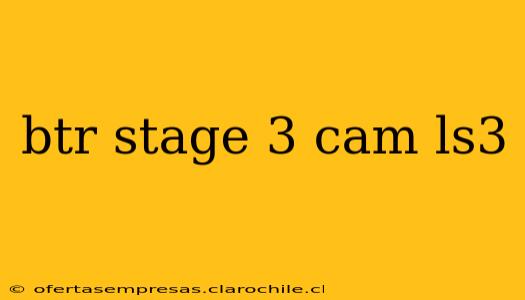 btr stage 3 cam ls3
