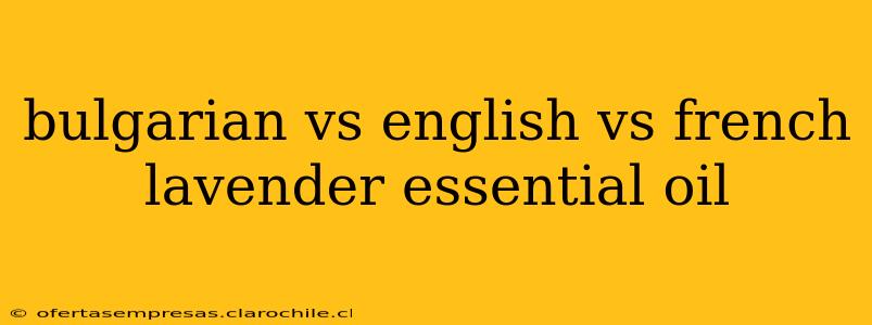 bulgarian vs english vs french lavender essential oil