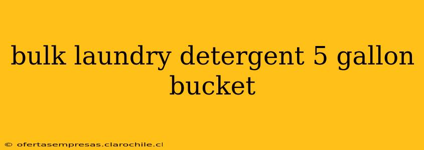 bulk laundry detergent 5 gallon bucket