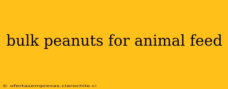 bulk peanuts for animal feed