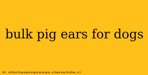 bulk pig ears for dogs
