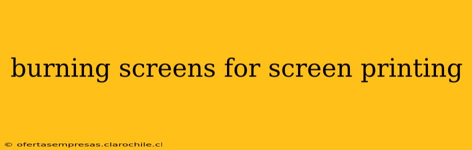 burning screens for screen printing